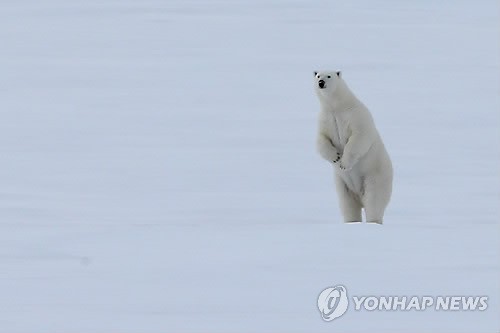 만든곳: 한국 네티즌본부 카페