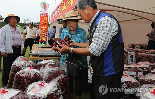 괴산 고추축제 팡파르…8일까지 열려