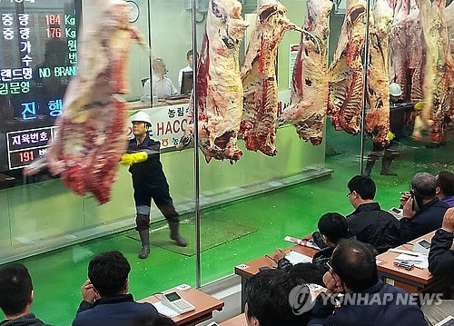 북적이는 농협 음성축산물 공판장 경매