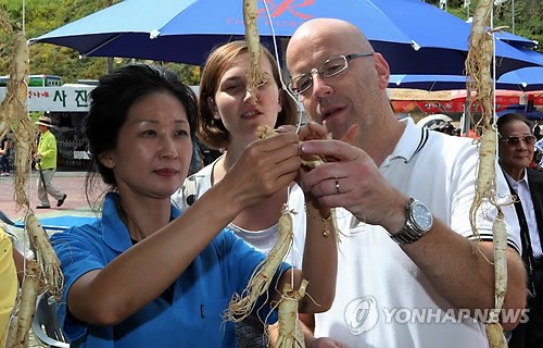 이것이 고려인삼이구나!
