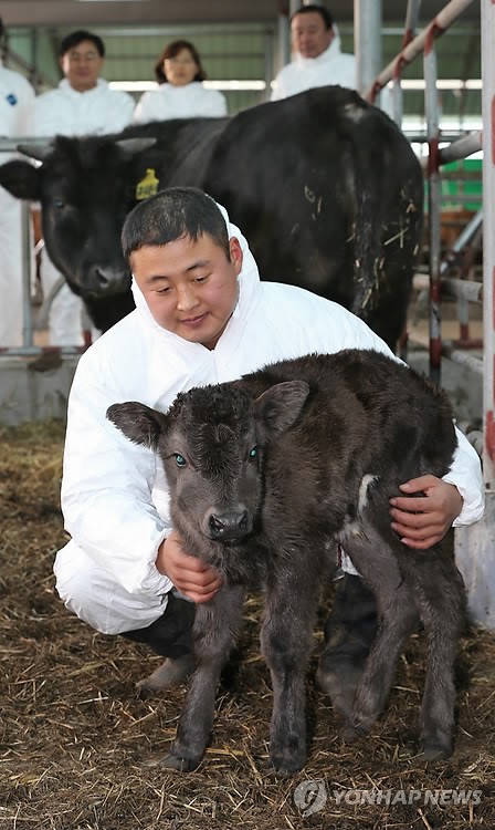 만든곳: Daum 카페: 한국 네티즌본부.