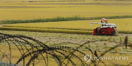 만든곳: Daum 카페: 한국 네티즌본부.