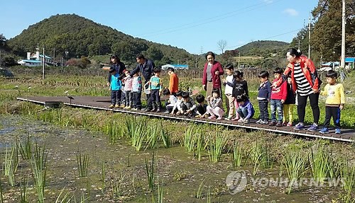 이곳이 바로 생활하수처리습지