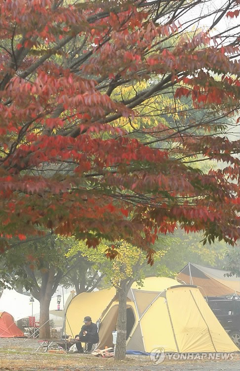 가을 단풍 즐기기 좋은 캠핑장