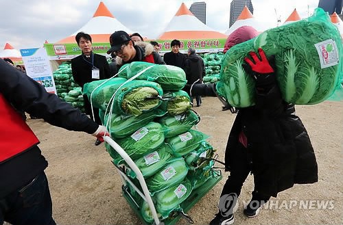 배추 이만큼 샀어요