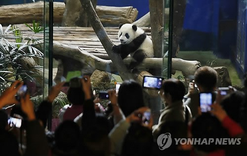 사진이 안보일 때→우측클릭→'사진보기' 클릭, OK. ☞작성: Daum카페: 한국 네티즌본부