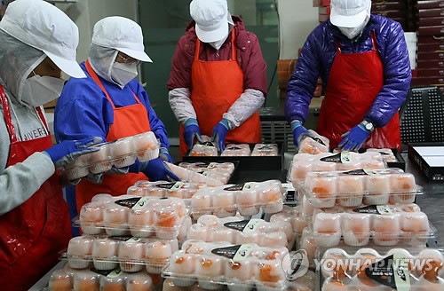 영동곶감 출하 한창