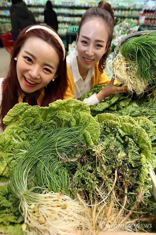 입맛 살리는 봄나물 저렴하게