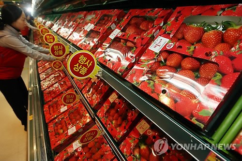 딸기 행사 풍성…딸기값 작년比 10%↓(종합)