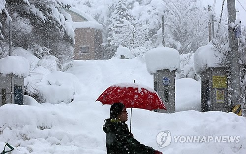 눈 속에 묻힌 휴업한 초등학교 진입로