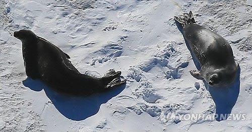 사진이 안보일 때→우측클릭→'사진보기' 클릭, OK. ☞작성: Daum카페: 한국 네티즌본부