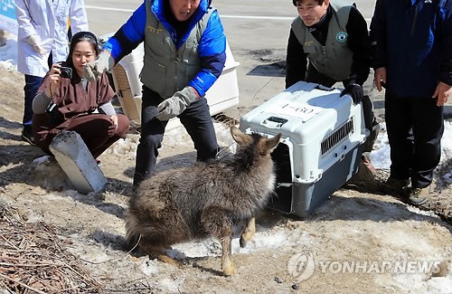 사진이 안보일 때→우측클릭→'사진보기' 클릭, OK. ☞작성: Daum카페: 한국 네티즌본부