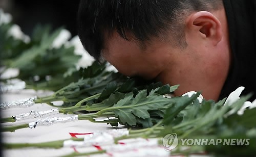 국화에 얼굴을 묻으며