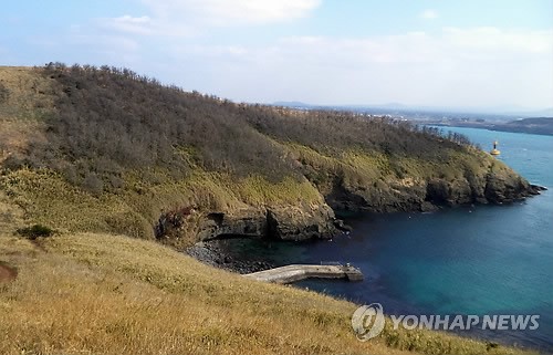 세계지질공원 차귀도 천연보호구역 고사목 제거