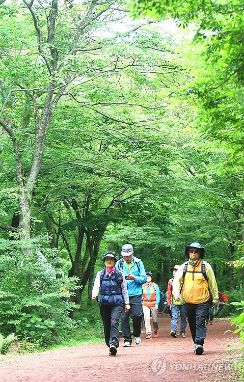 숲길 걸으며 힐링 체험해요