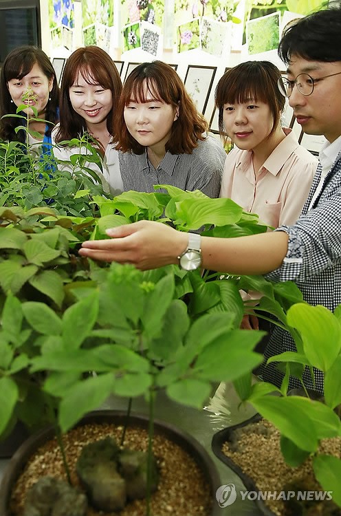 농진청, 토종 약초 전시회
