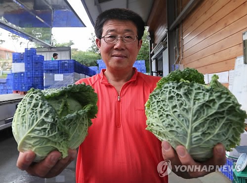 한해 매출 28억원, 제천양채영농조합