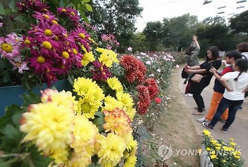 고양가을꽃축제 다음달 2∼12일 호수공원서 열려