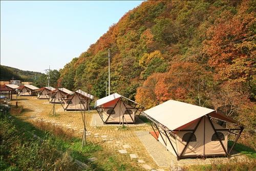 아트인아일랜드야영장 이미지