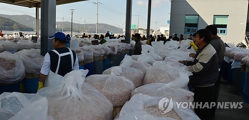 전국 최대 새우젓 생산지 강화군, 올해 대풍