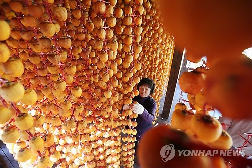 맛있는 명품 강릉곶감이래요