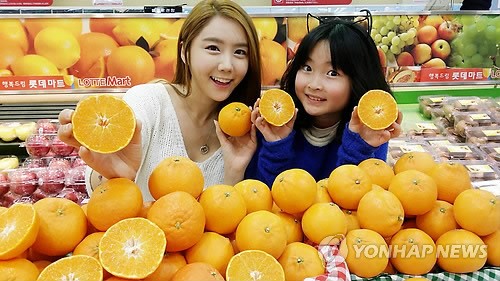 롯데마트, 충주산 천혜향·레드향 판매