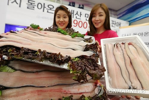 신년 보양식으로 국산 민물장어 어때요?