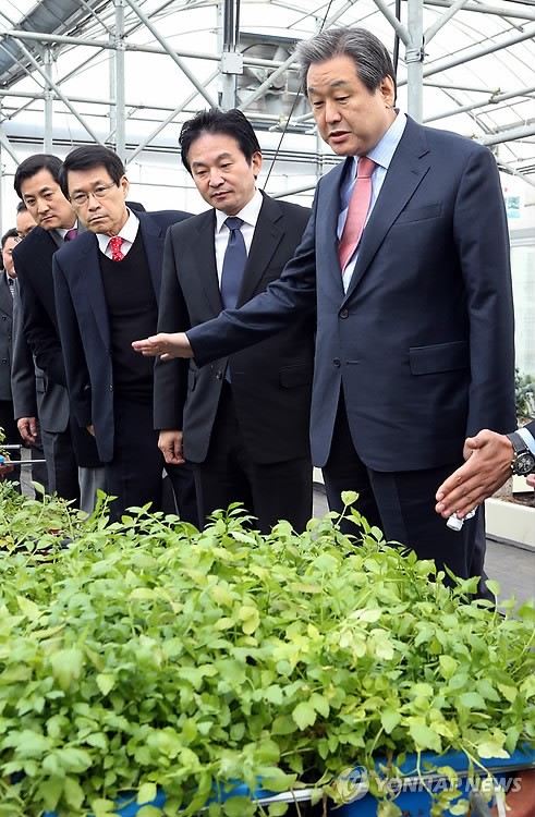 제주용암해수산업단지 찾은 김무성 대표