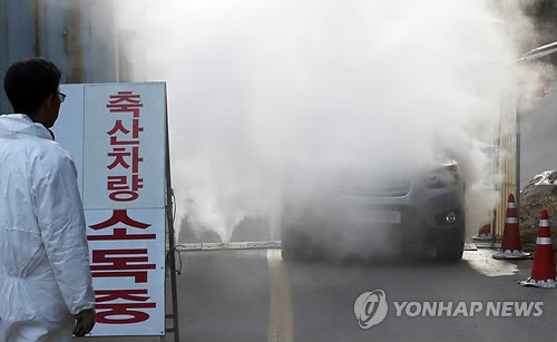 춘천·원주 양돈농가 2곳 구제역 확진 판정