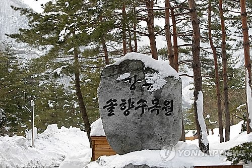 강릉 솔향수목원 제2전시온실 조성 볼거리 풍성