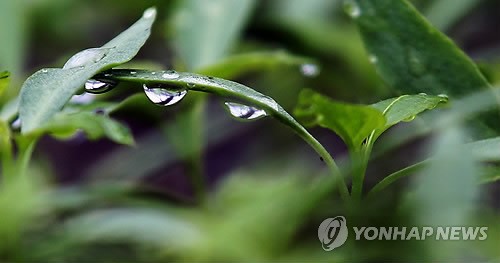생명 품은 물