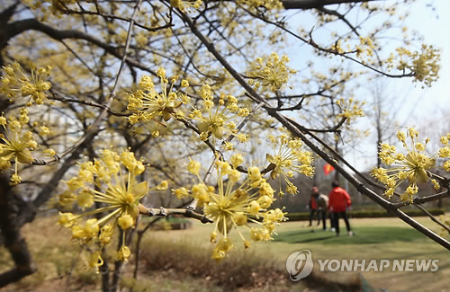 봄 햇살 아래 파크골프 즐겨요