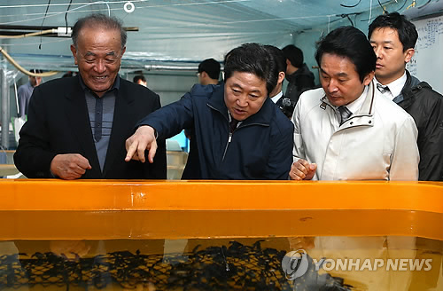 해마 양식시설 둘러보는 유기준 장관