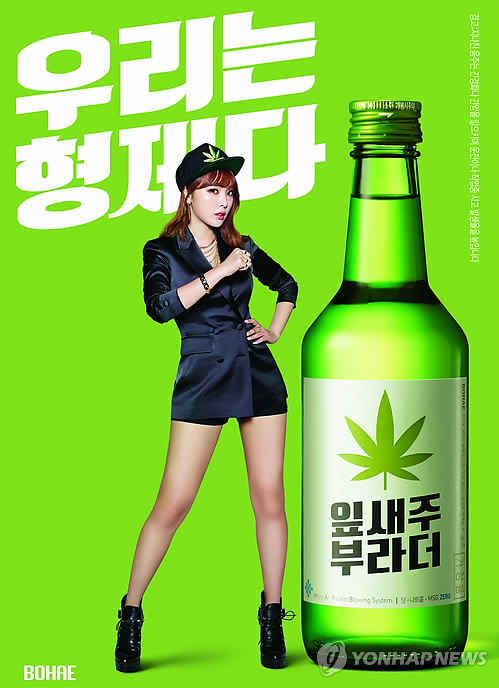 가수 홍진영, 보해 신제품 소주 잎새주 부라더 모델에 선정
