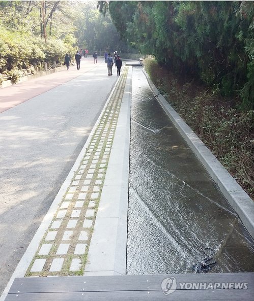 두류공원 여울길
