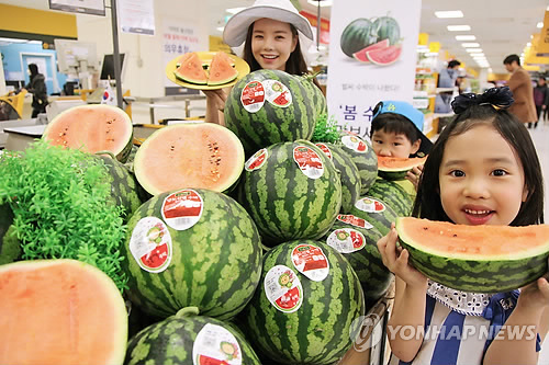 수박의 계절…함안·의령·창원서 수박축제