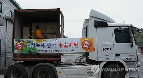 보성 녹차(茶) 건엽 1.7t 중국 수출길 나서