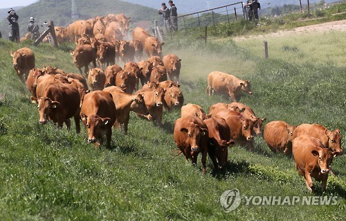 초원아, 반가워!