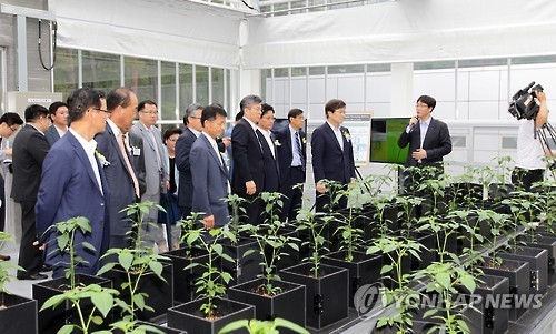 강릉 천연물연구소에 스마트유팜 문 열어