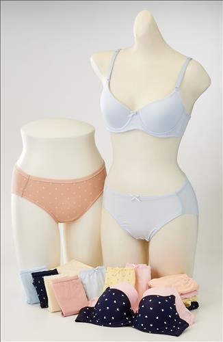 롯데마트 프리미엄 속옷 대전 최대 70% 할인