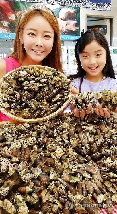 롯데마트, 거북손 판매