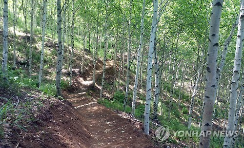 DMZ 펀치볼 둘레길 오유밭길