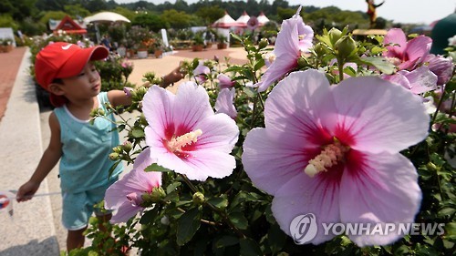 우리나라꽃 무궁화