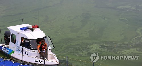 녹조 발생한 팔당호