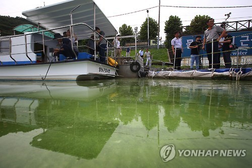 팔당상수원 녹조 발생