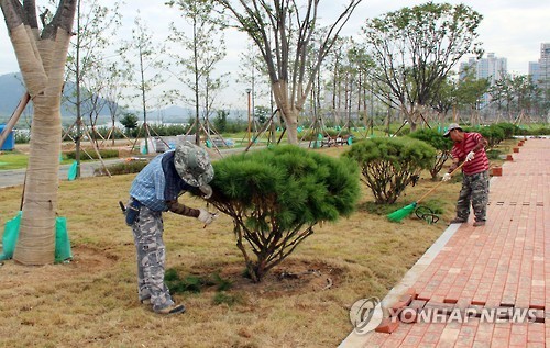 조경작업 한창인 세종시 금강수변공원