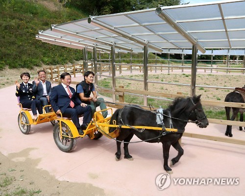 홍천군 숲 속 동키마을 동물체험장 개장