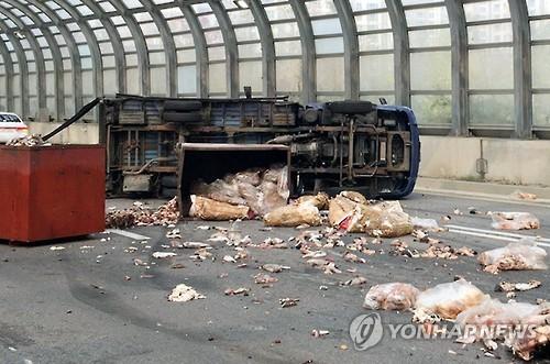 세종서 수산 폐기물 운반차량 전도