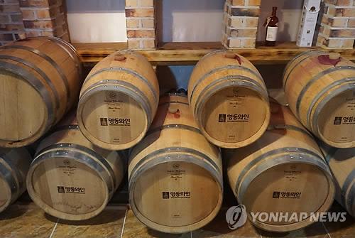 국산 참나무 오크통 숙성 와인맛은?…영동서 출시 눈앞