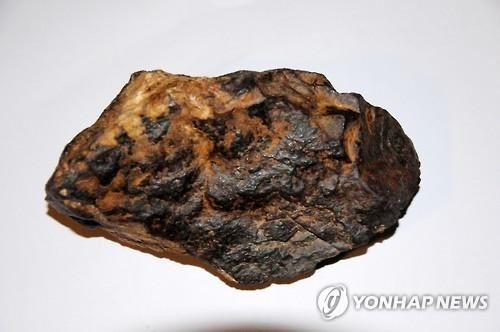 채소사는곳 이미지
